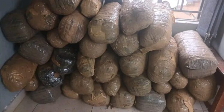 597kg dagga worth E3m seized in SA busts involving Emaswati