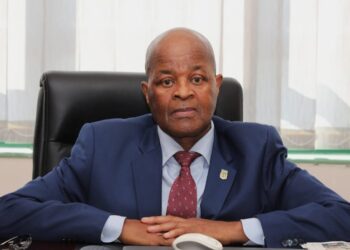 King did not summon Misuzulu for reprimand – Percy