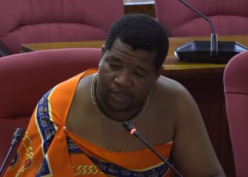 Senator Sicelo warns against ‘Bomahamba nendlwana’ contractors