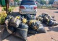 Two emaSwati arrested in E1.1m dagga bust in South Africa