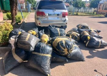 Two emaSwati arrested in E1.1m dagga bust in South Africa