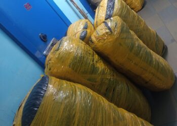UEDF seizes 430kg of dagga worth E379K