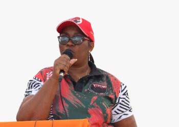 NAPSAWU flags political interference in unions