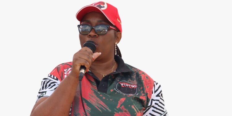 NAPSAWU flags political interference in unions